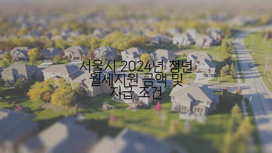 서울시 2024년 청년 월세지원 금액 및 지급 조건