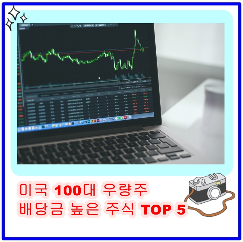  미국 100대 우량주 투자 가이드: 배당금 높은 주식 TOP 5