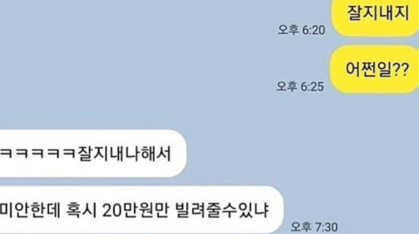  미스트롯 혼전임신 낙태 가수 황홍비 송가인 다이어트 쥬비스 가격