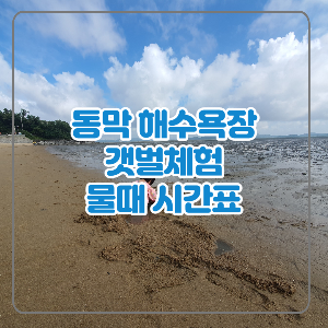  강화도 동막해변 갯벌체험 물때 주차정보 동막해수욕장 이용 정보