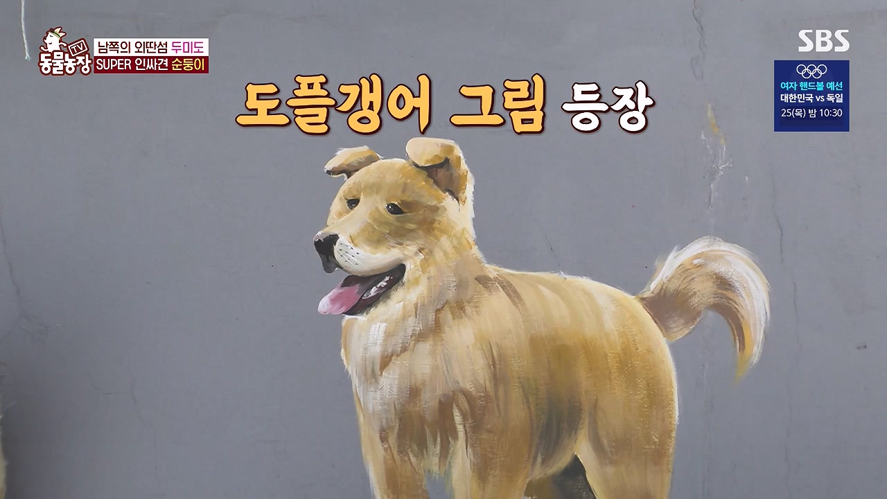 TV 동물농장.E1181.240722p-NEXT.mp4_20240721_165536.888.jpg