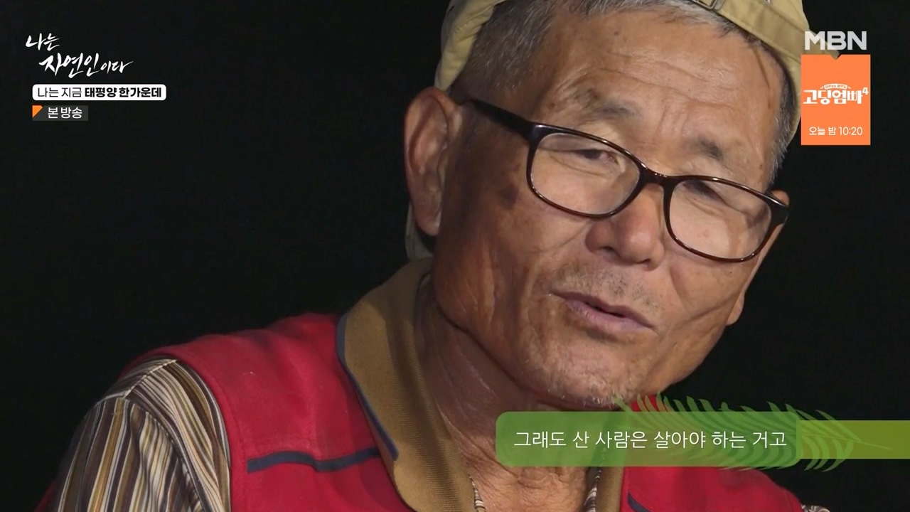 나는 자연인이다.E581.231123p-NEXT.mp4_20231123_200722.999.jpg