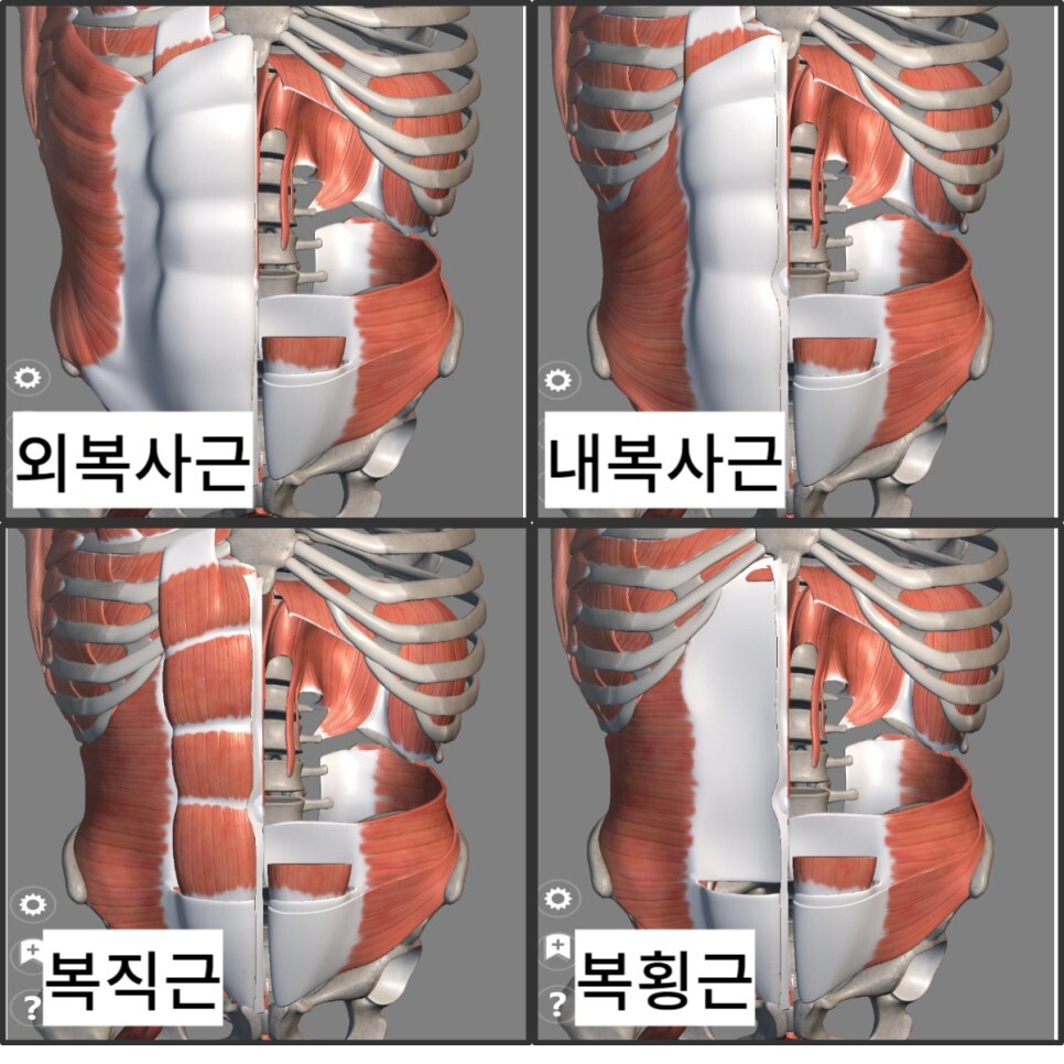 바디에이프PT 이미지