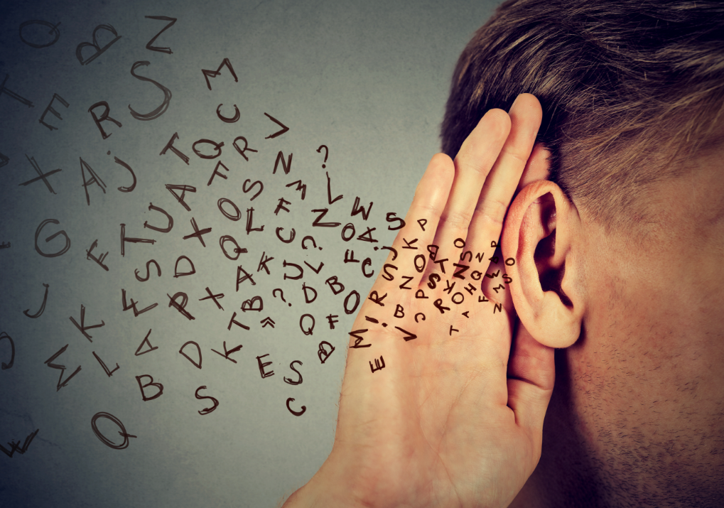 난청
hearing impairment