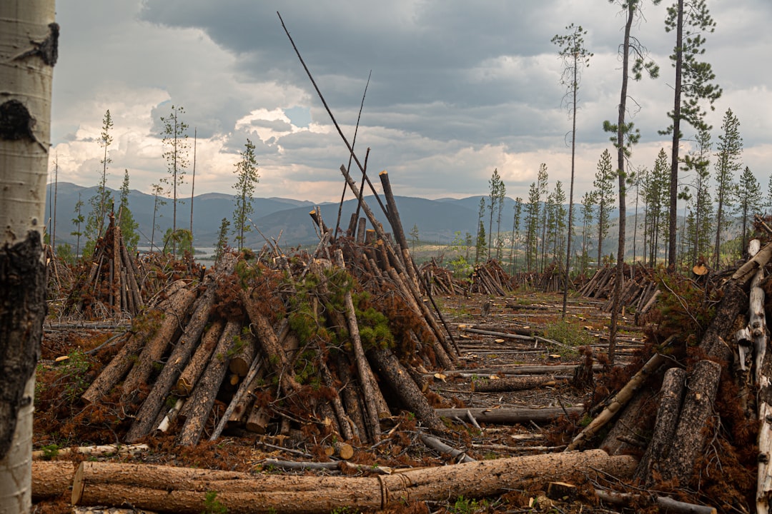 Logging