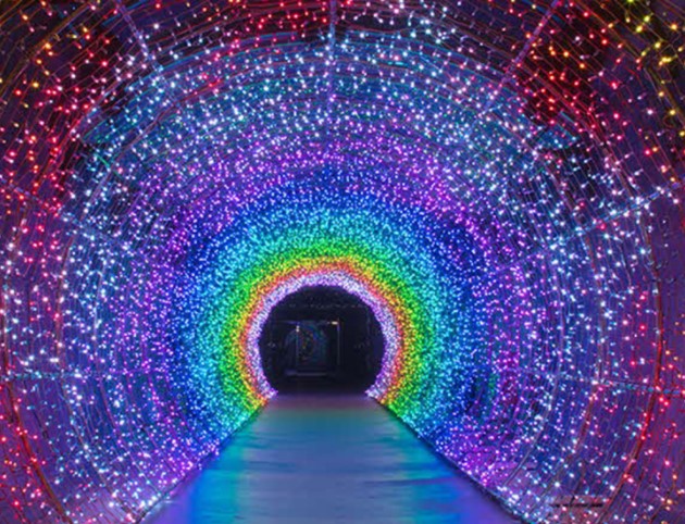 알록달록-빛나는-수양-개빛-터널