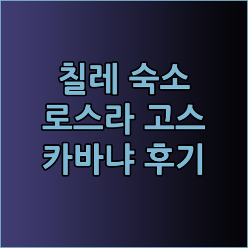 칠레 로스 라고스 주 여행 Cabañ