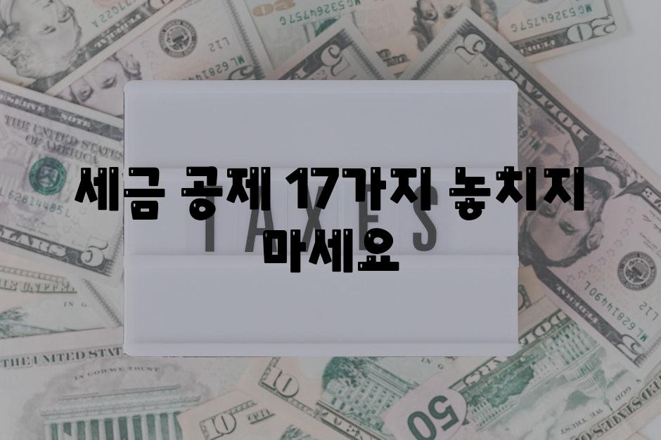 세금 공제 17가지 놓치지 마세요!