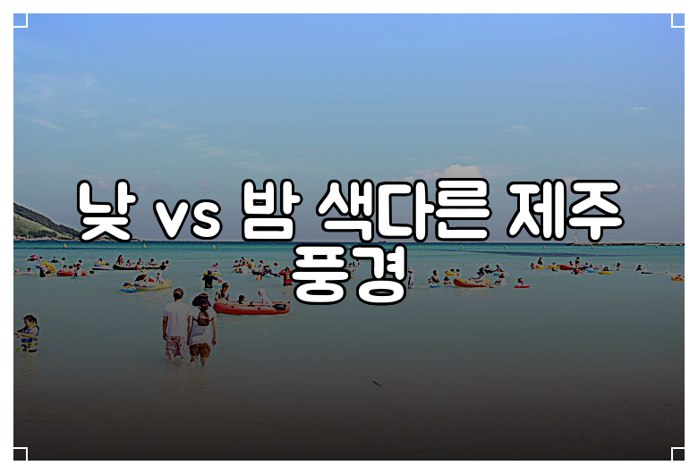 낮 vs 밤 색다른 제주 풍경