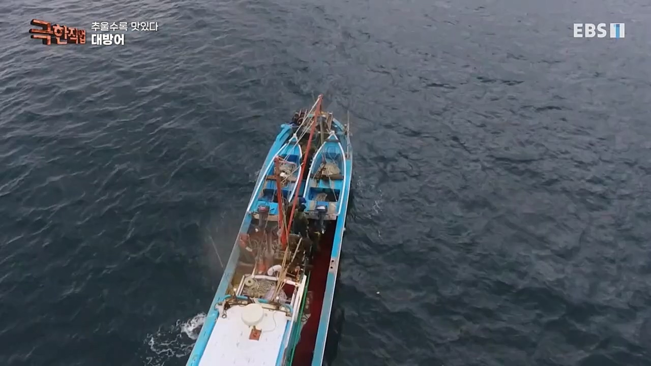 [극한직업] 추울수록 맛있다 장(長)마와 대방어.E734.221218p-NEXT.mp4_20221219_193408.215.jpg