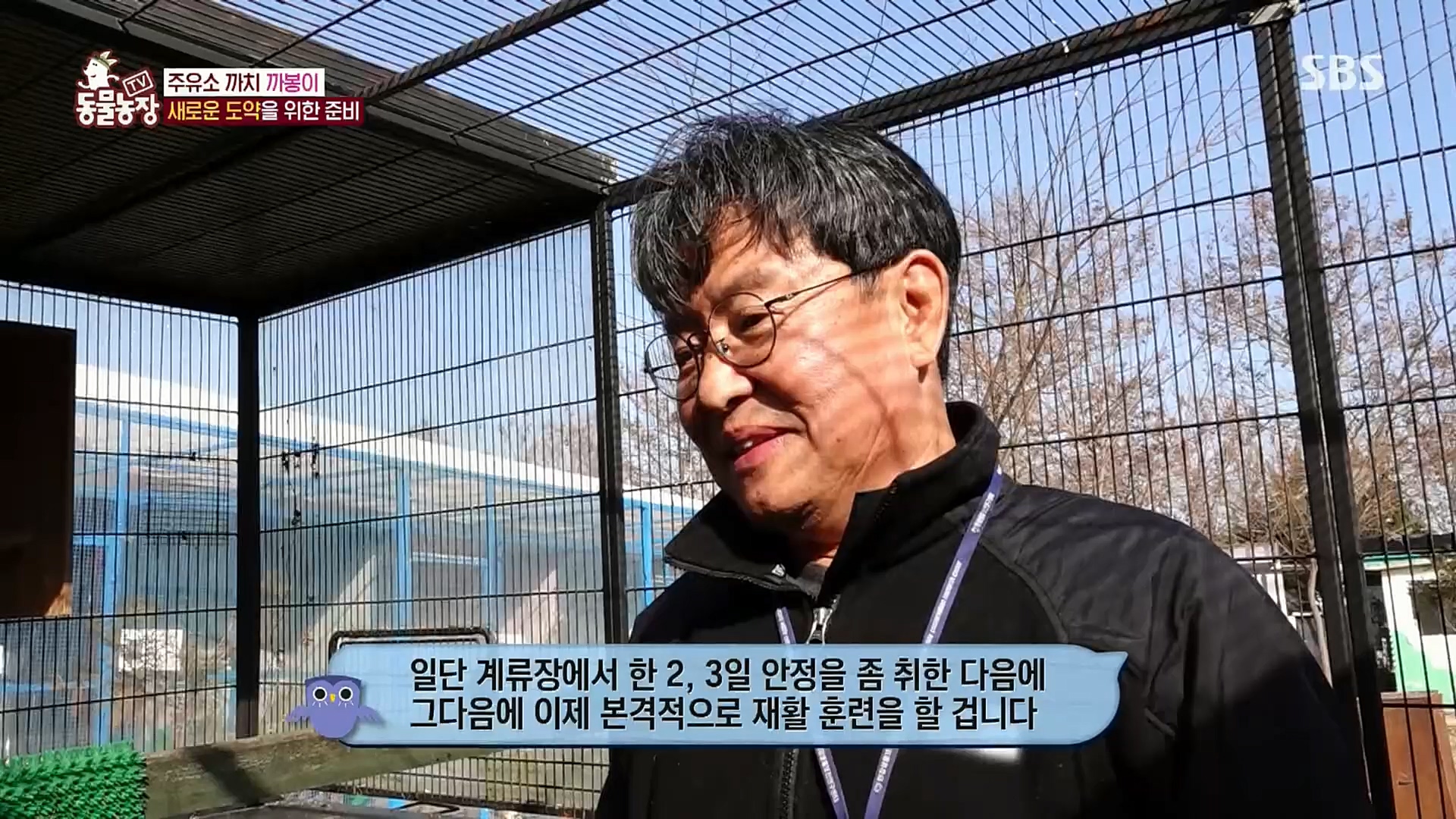 TV 동물농장.E1102.230101p.H264-F1RST.mp4_20230101_182841.375.jpg