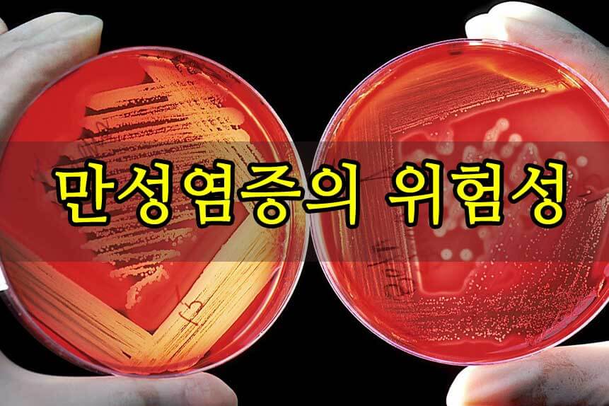  만성염증의 위험성
