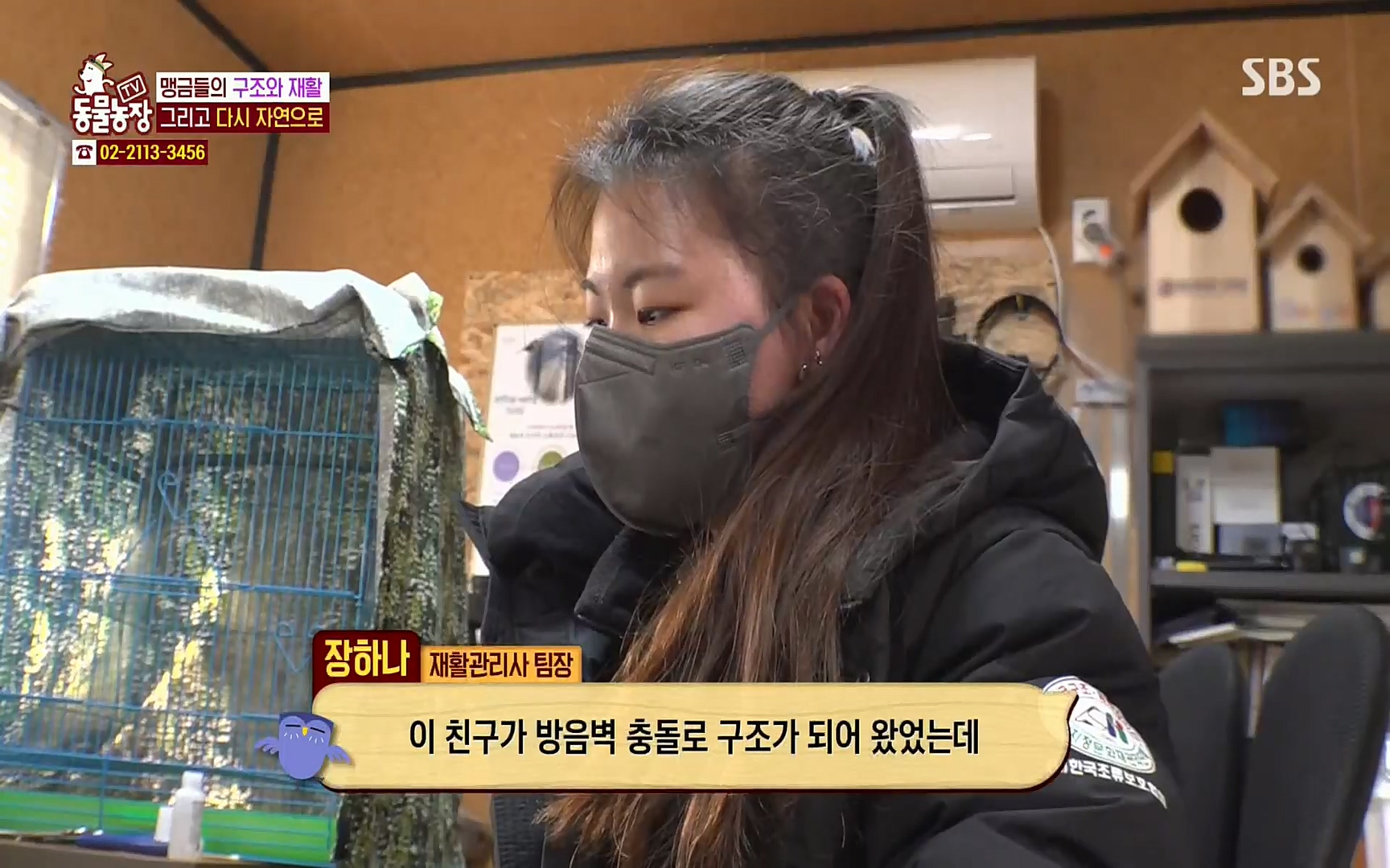 TV 동물농장.E1061.220320p.H264-F1RST.mp4_20220320_183606.120.jpg