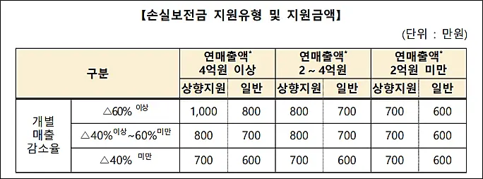 손실보전금