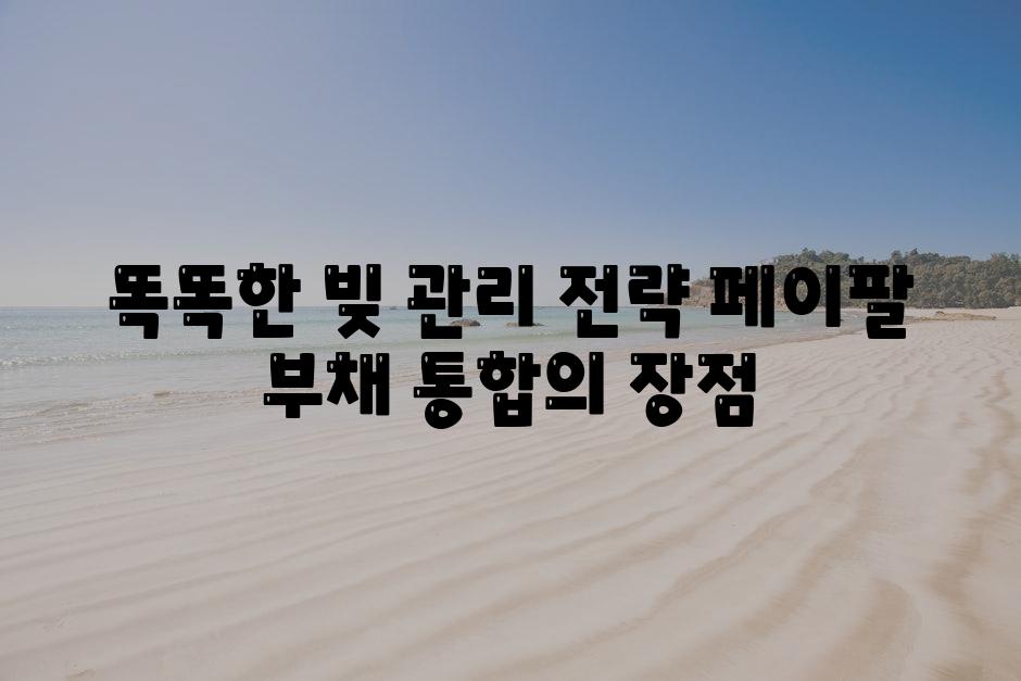 똑똑한 빚 관리 전략 페이팔 부채 통합의 장점