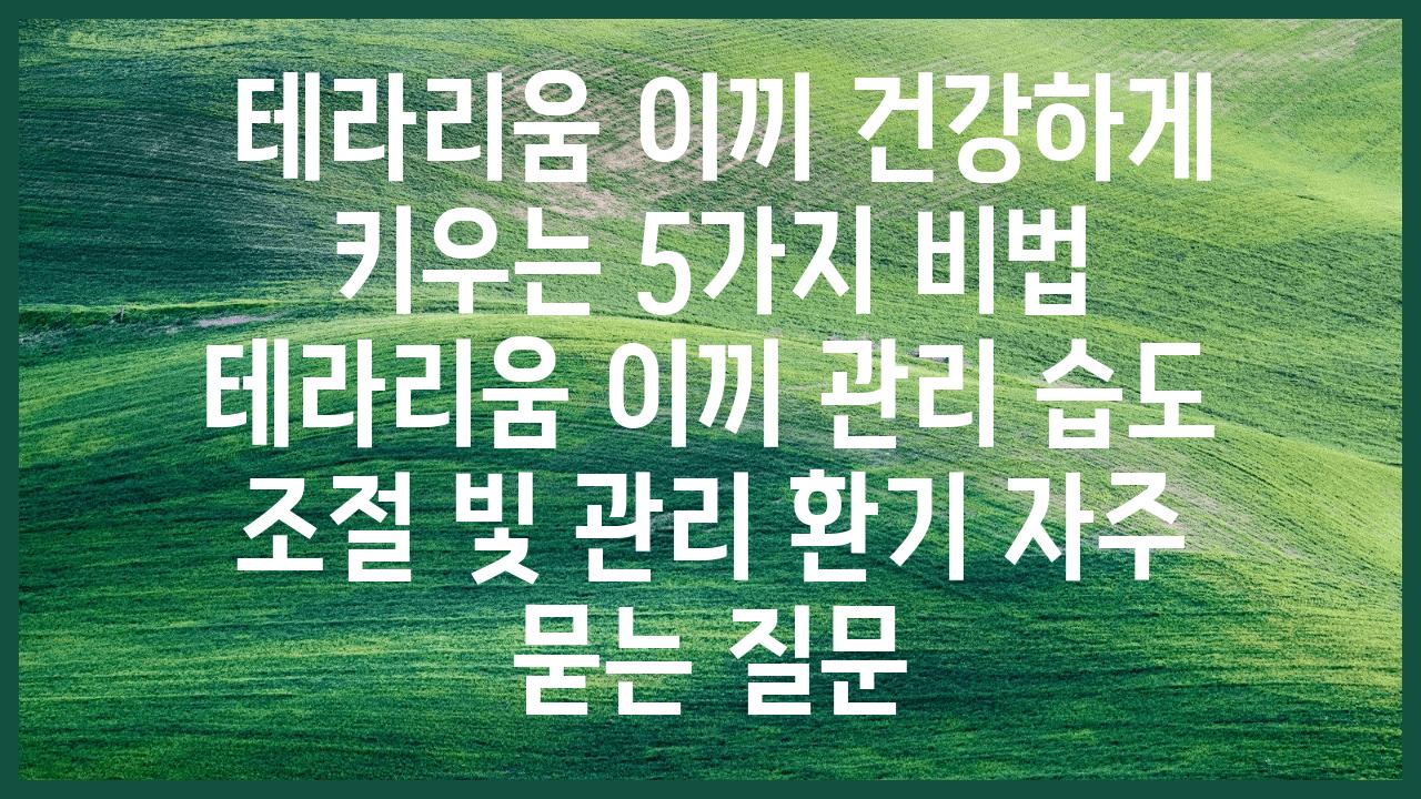  테라리움 이끼 건강하게 키우는 5가지 비법  테라리움 이끼 관리 습도 조절 빛 관리 환기 자주 묻는 질문