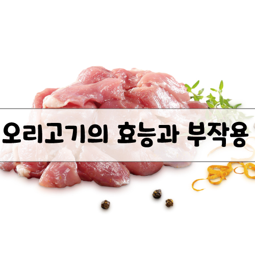 오리 고기의 효능과 부작용