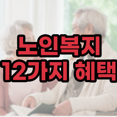  노인 복지 혜택 (만 65세 이상) 12가지