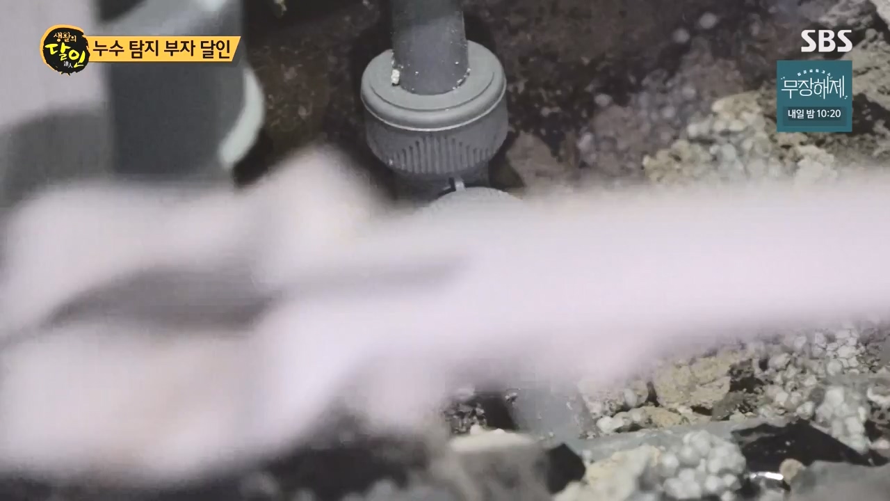 생활의 달인.E903.230829p-NEXT.mp4_20230829_202342.659.jpg