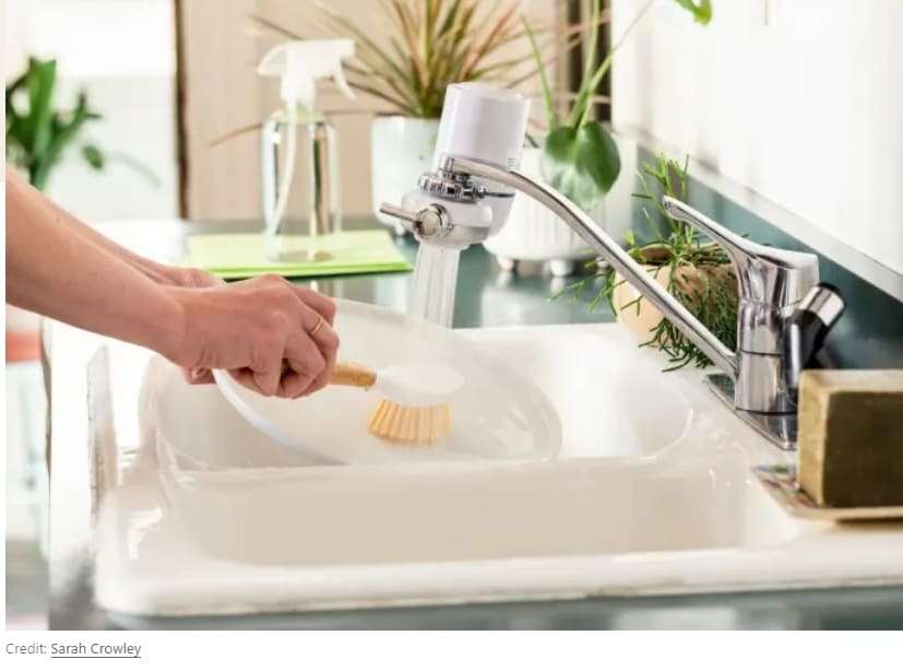 균이 드글드글한 주방 수세미...마르고 닳도록 사용 Why kitchen sponges are the perfect home for bacteria