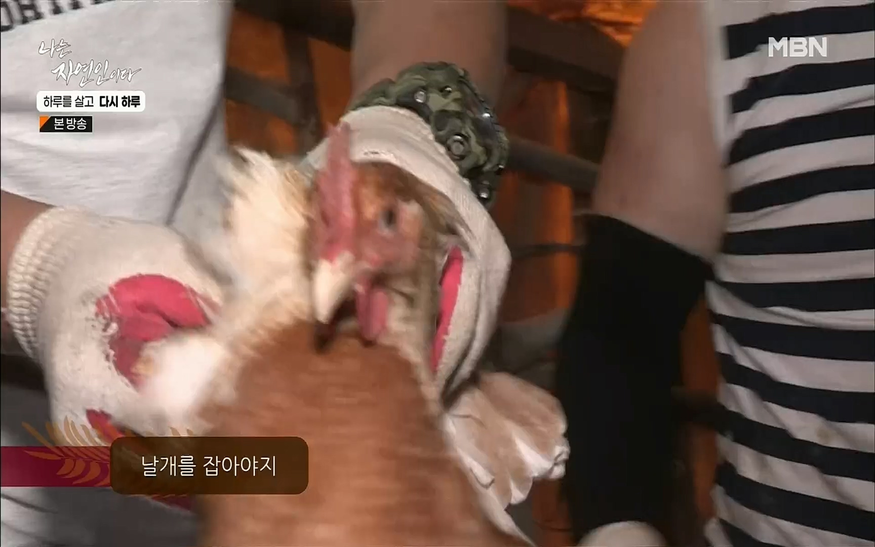 나는 자연인이다.E509.220706p.H264-F1RST.mp4_20220707_183731.759.jpg