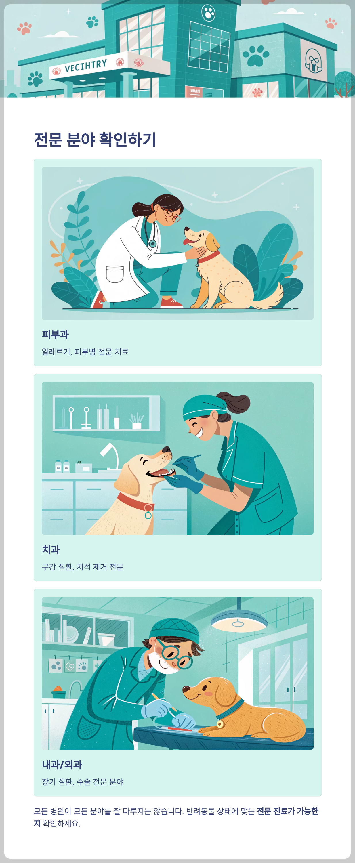 진료 항목과 전문 분야가 명확히 안내되는지 확인
