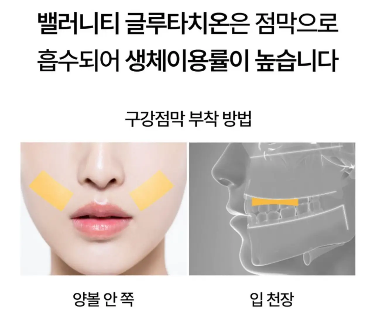 사진12
