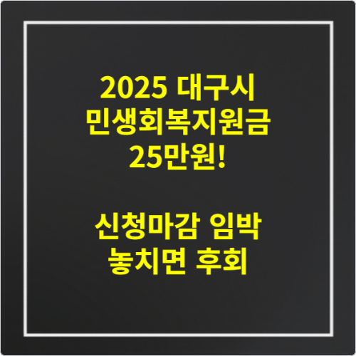 2025 대구시 민생회복지원금 25만원! 신청마감 임박 놓치면 후회