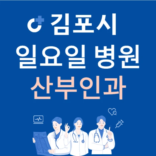 경기도-김포시-일요일-산부인과-진료하는곳-주말에-문여는-김포시-24시간-산부인과-병원-찾기