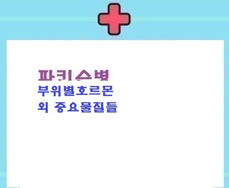  파병:부위별 호르몬/외 중요물질들