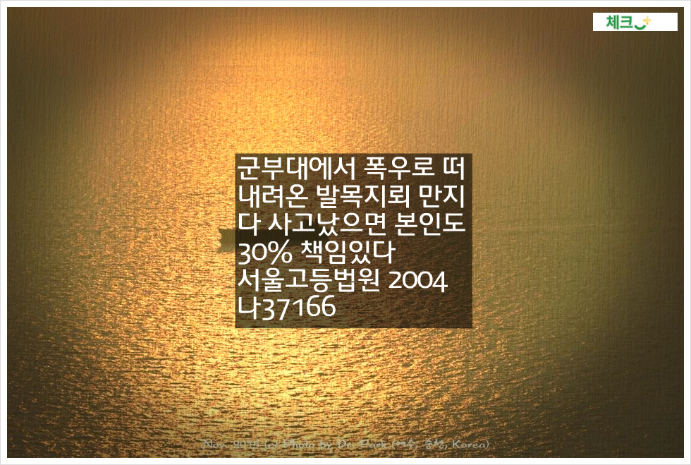 군부대에서 폭우로 떠내려온 발목지뢰 만지다 사고났으면 본인도 30% 책임있다