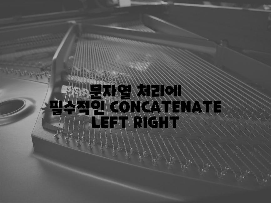 문자열 처리에 필수적인 CONCATENATE LEFT RIGHT