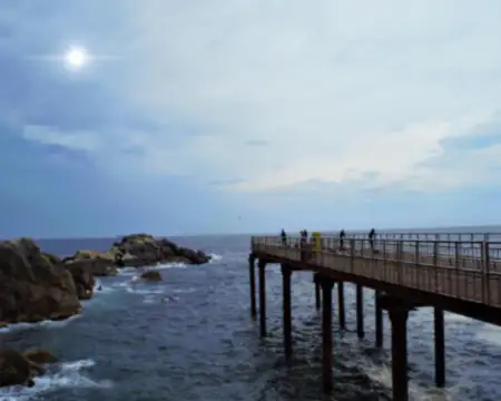 겨울여행-죽변해안스카이레일