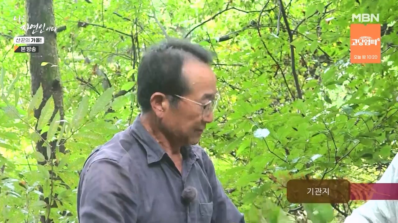 나는 자연인이다.E574.231005p-NEXT.mp4_20231005_200551.377.jpg
