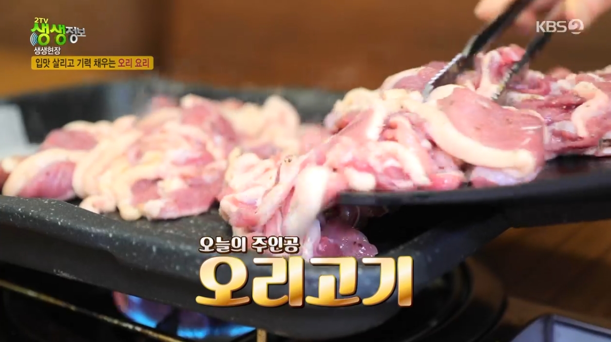 백년오리 이미지
