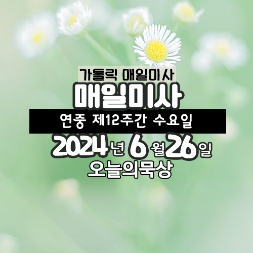 6월 26일 매일미사 연중 제12주간 수요일 오늘의 묵상