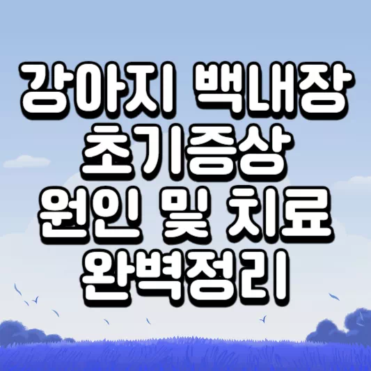 강아지-백내장
강아지-백내장-초기증상
백내장-초기증상
강아지-백내장-수술
강아지-백내장-수술비용
백내장-치료비용