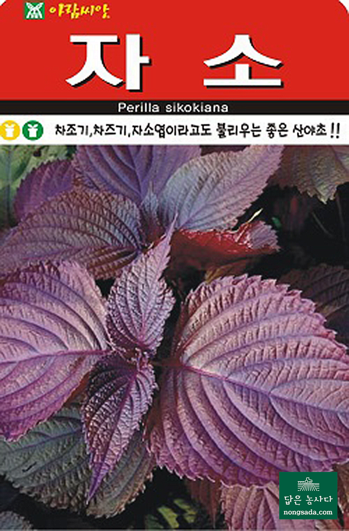 자소 씨앗종자: 알레르기 및 동맥경화 예방, 항균 효과