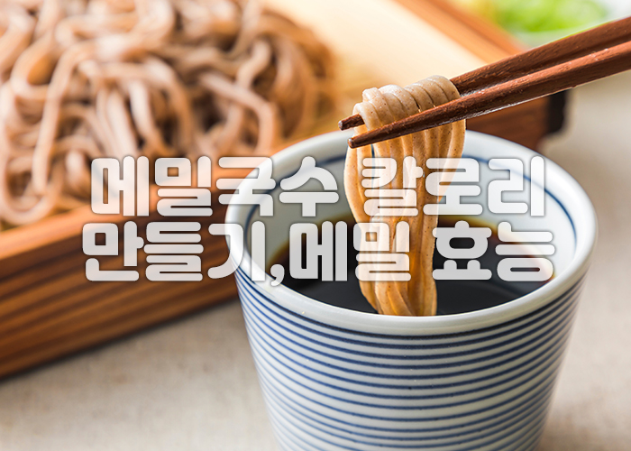 메밀국수를 젓가락을 이용해 쯔유에 담그고 있다.