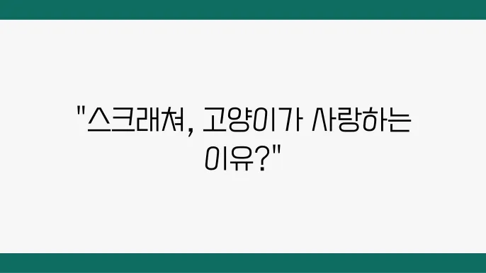 스크래칭과 치아 건강