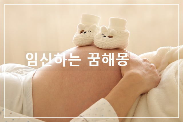  임신의 꿈의 의미는 무엇입니까?