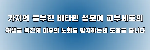  가지의 풍부한 비타민 성분이 피부세포의 재생을 촉진해 피부의 노화를 방지하는데 도움을 줍니다