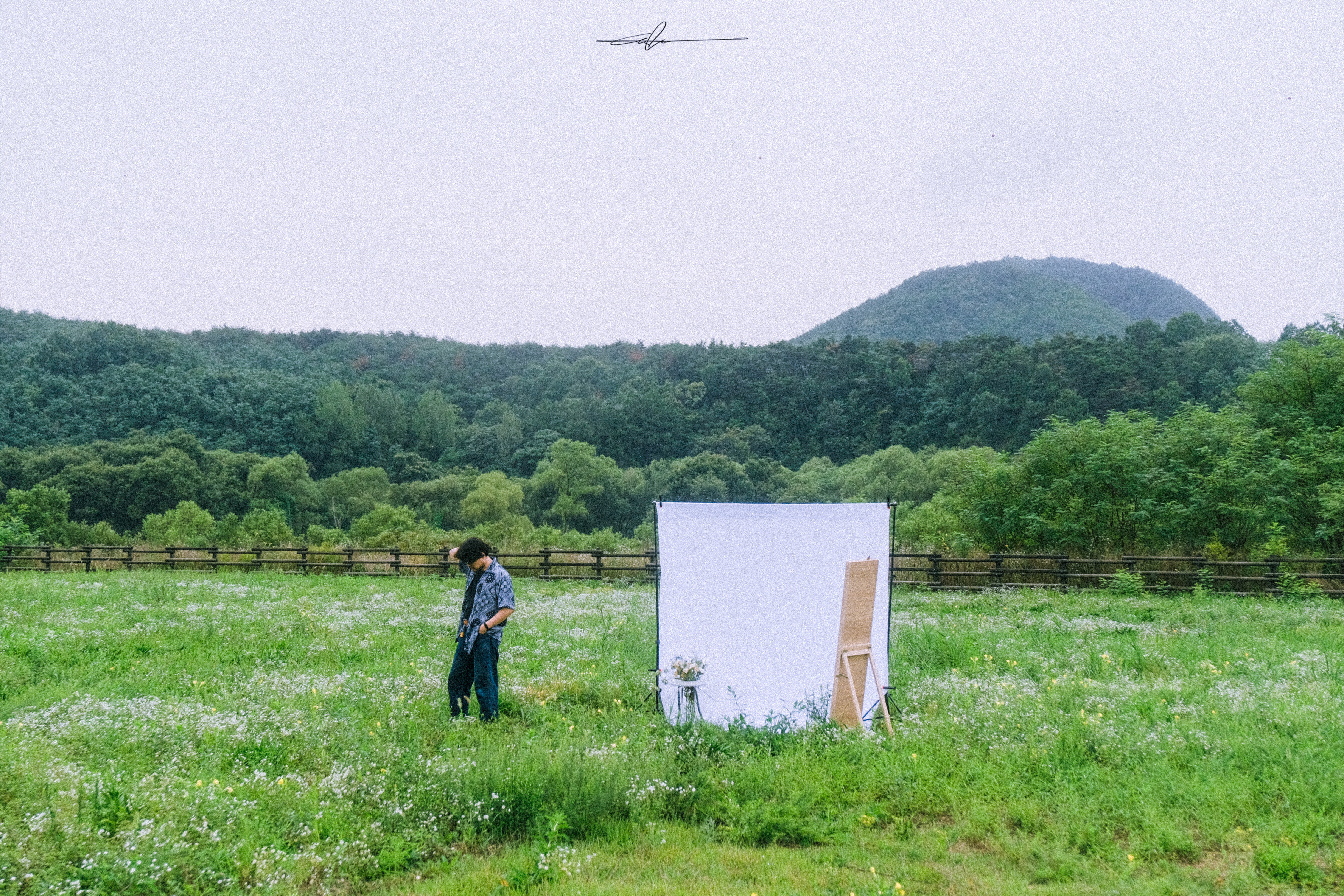  #f4e19f  ISOLATION_6