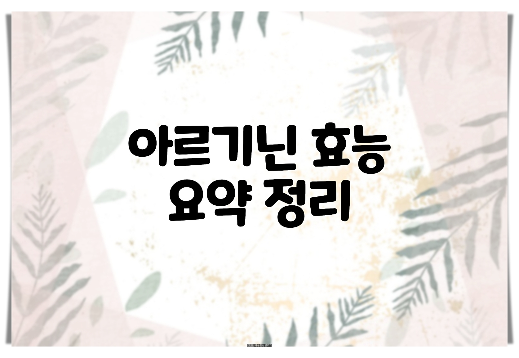  아르기닌 효능 요약정리
