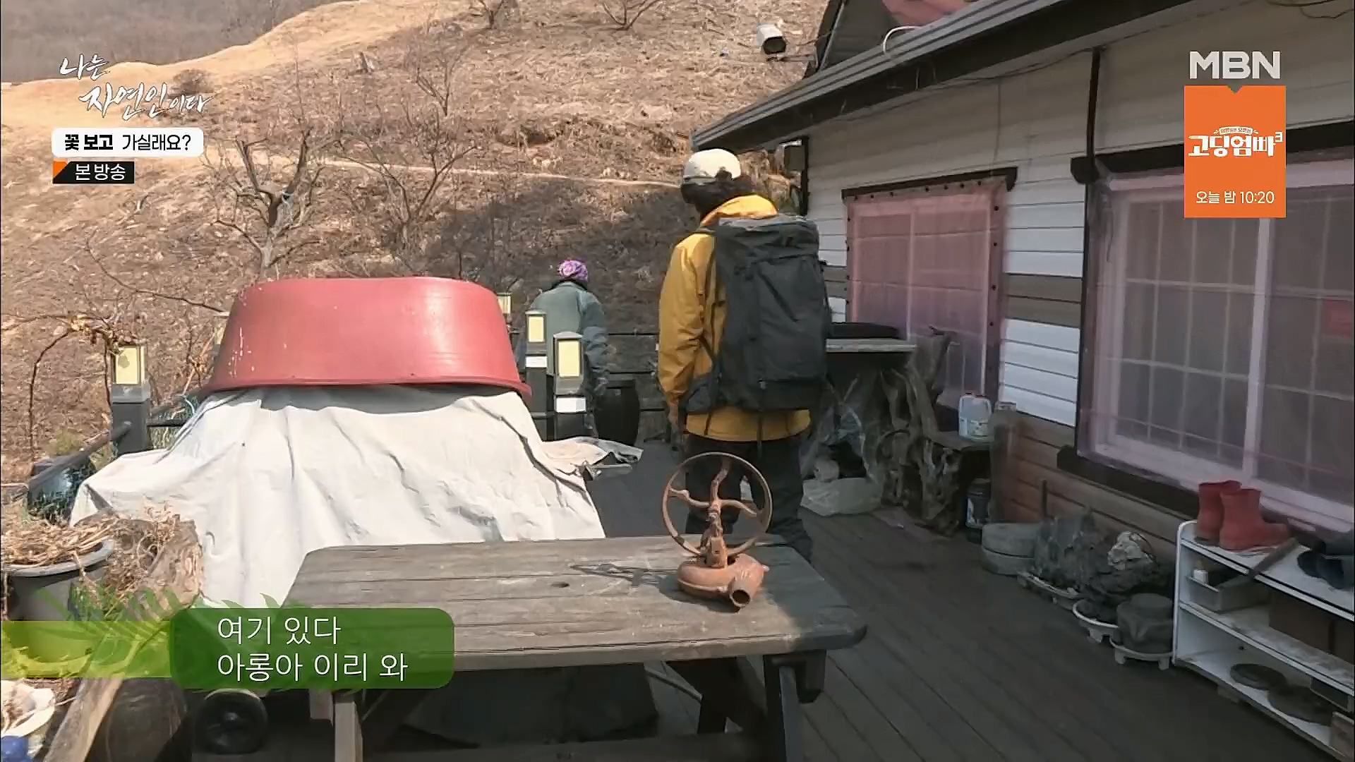 나는 자연인이다.E545.230315p.H264-F1RST.mp4_20230316_212102.554.jpg