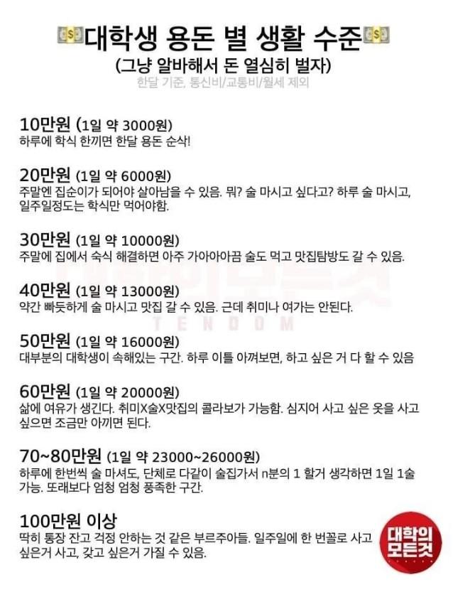  대학생 용돈 별 생활 수준