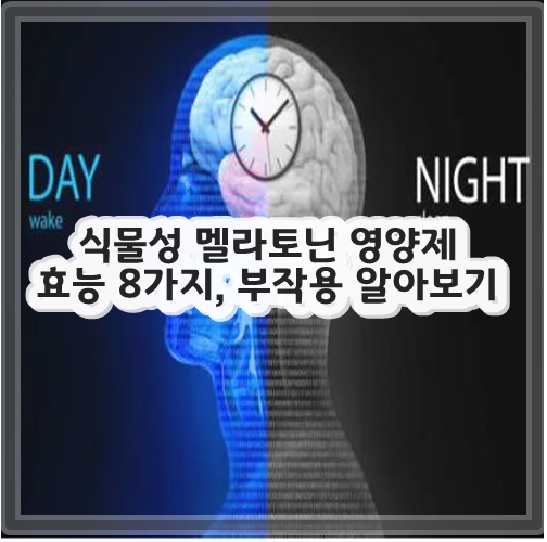 식물성 멜라토닌 영양제 효능 8가지, 부작용 알아보기