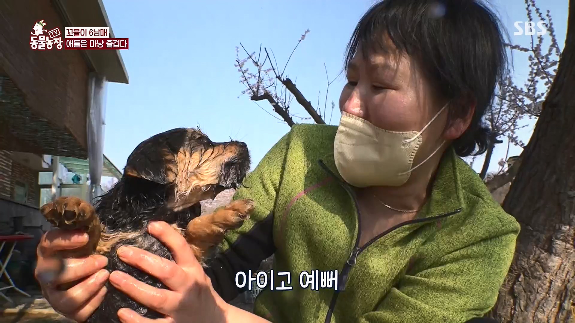 TV 동물농장.E1119.230507p.H264-F1RST.mp4_20230507_135901.237.jpg