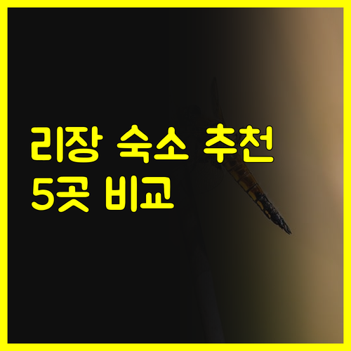 리장 고성에서 잊지 못할 추억을 선사