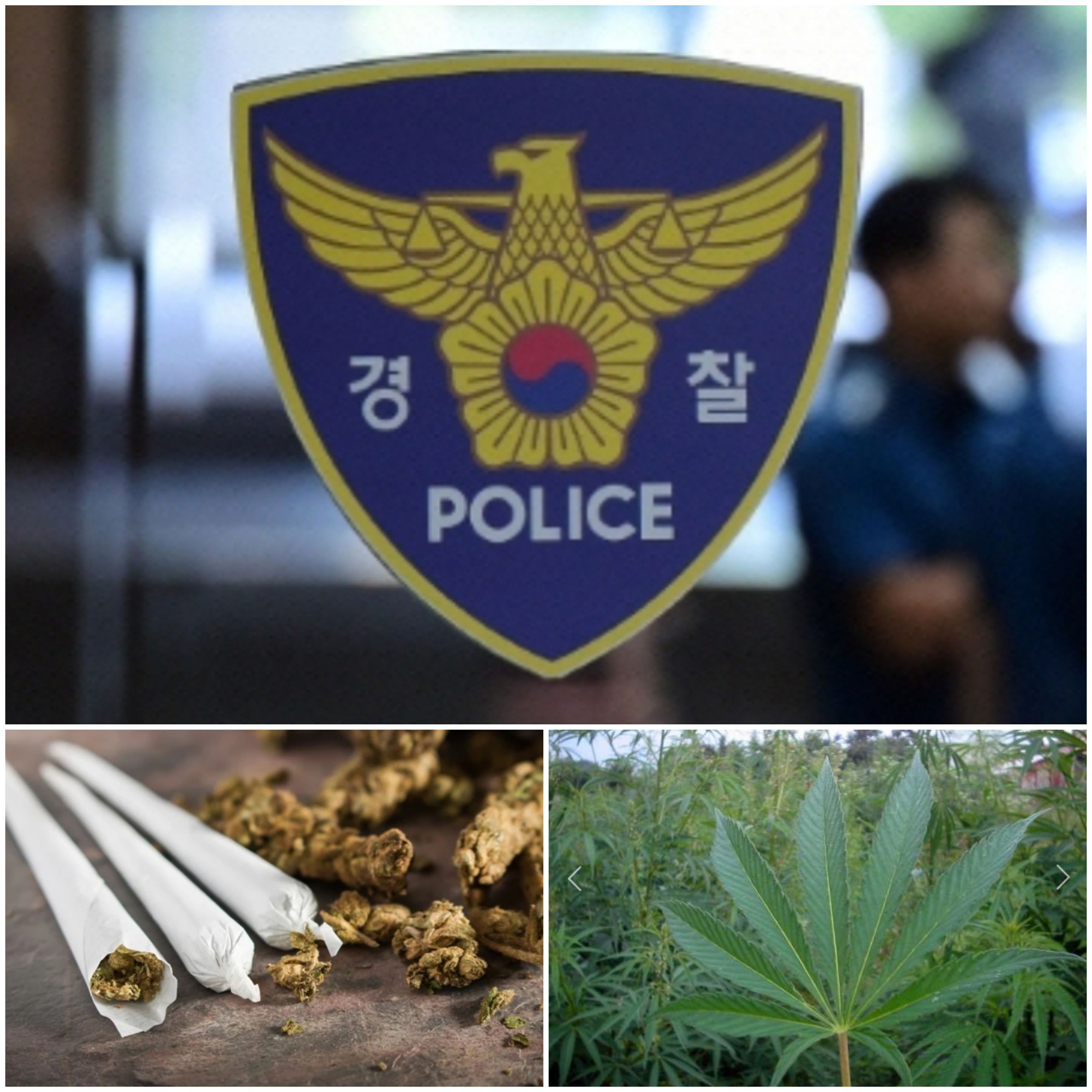  국민연금 괜히 투자하지도 말아라, 750조 운용직원 4명 대마초 흡입